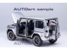 Mercedes-AMG G63 2019 1:18 (iridium silver metallic) - AUTOart