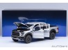 Ford F-150 Raptor Supercrew 2019 (Ingot Silver) - AUTOart